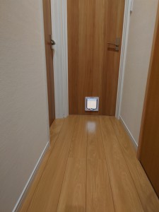 20250712_115245